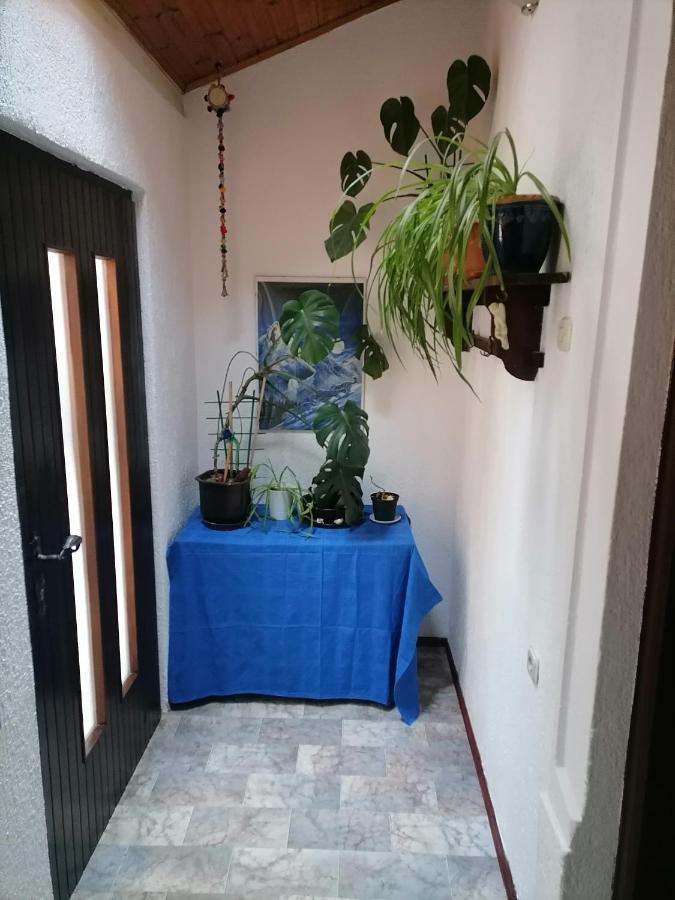 Apartman Zepina Pula Exteriör bild
